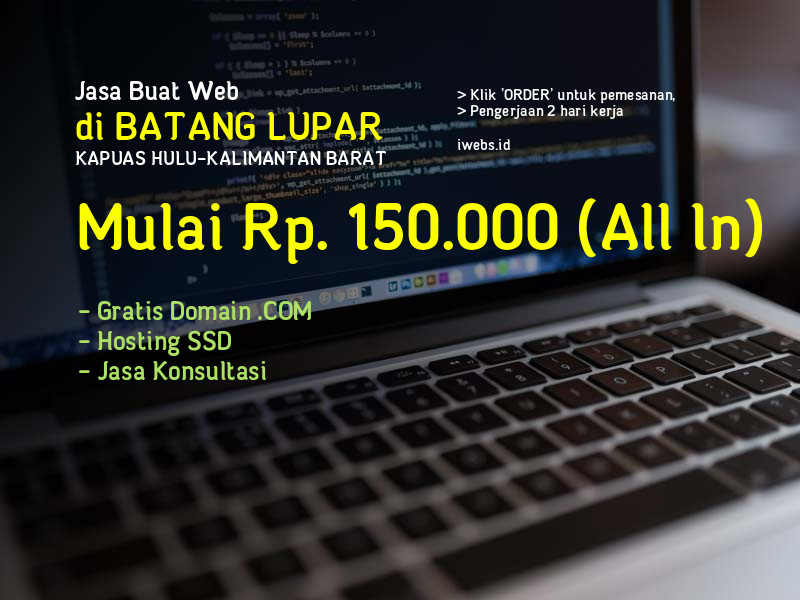 Jasa Buat Web Di Batang Lupar Kab Kapuas Hulu