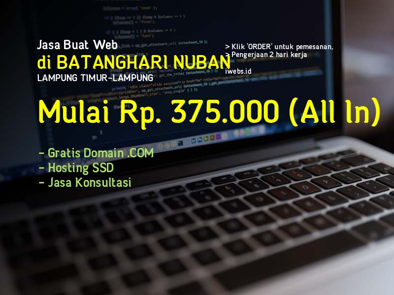 Jasa Buat Web Di Batanghari Nuban Kab Lampung Timur