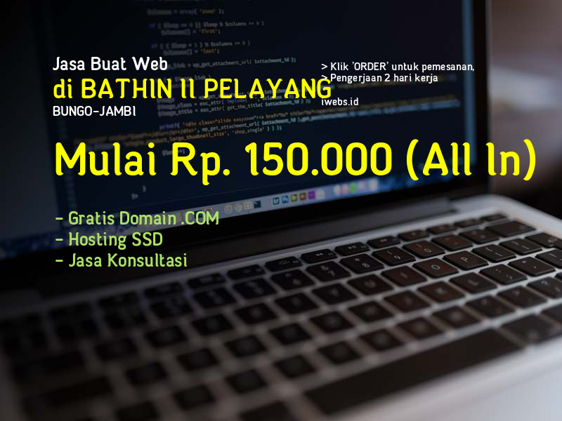 Jasa Buat Web Di Bathin Ii Pelayang Kab Bungo