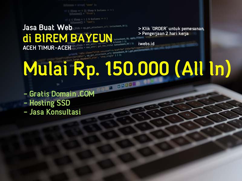 Jasa Buat Web Di Birem Bayeun Kab Aceh Timur