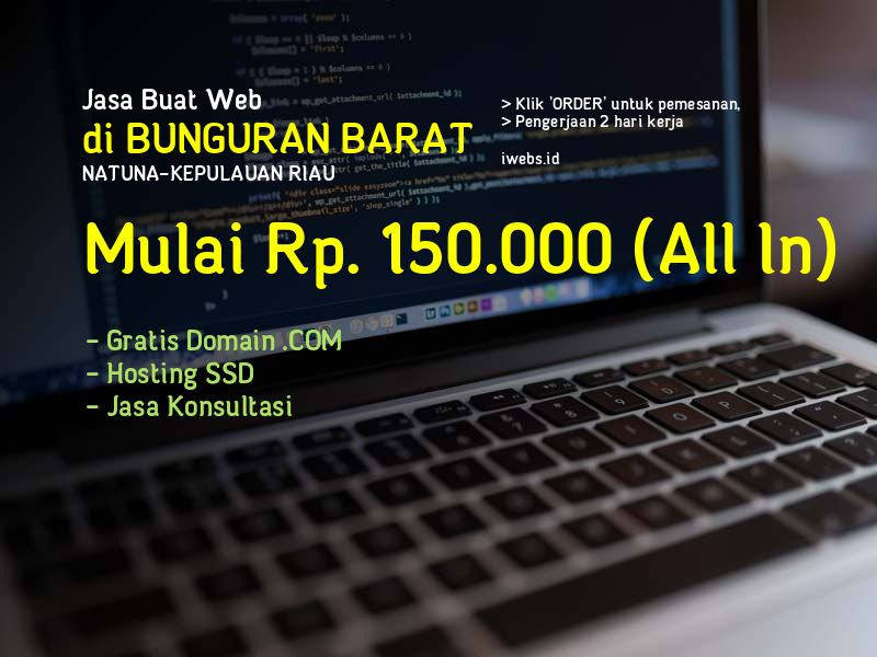 Jasa Buat Web Di Bunguran Barat Kab Natuna