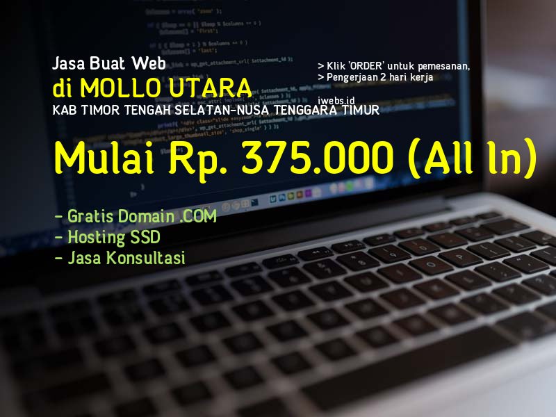 Jasa Buat Web Di Mollo Utara Kab Timor Tengah Selatan