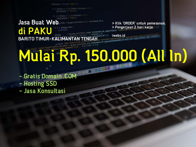 Jasa Buat Web Di Paku Kab Barito Timur