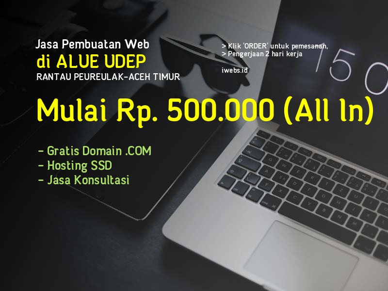Jasa Pembuatan Web Di Alue Udep Kec Rantau Peureulak Kab Aceh Timur - Aceh
