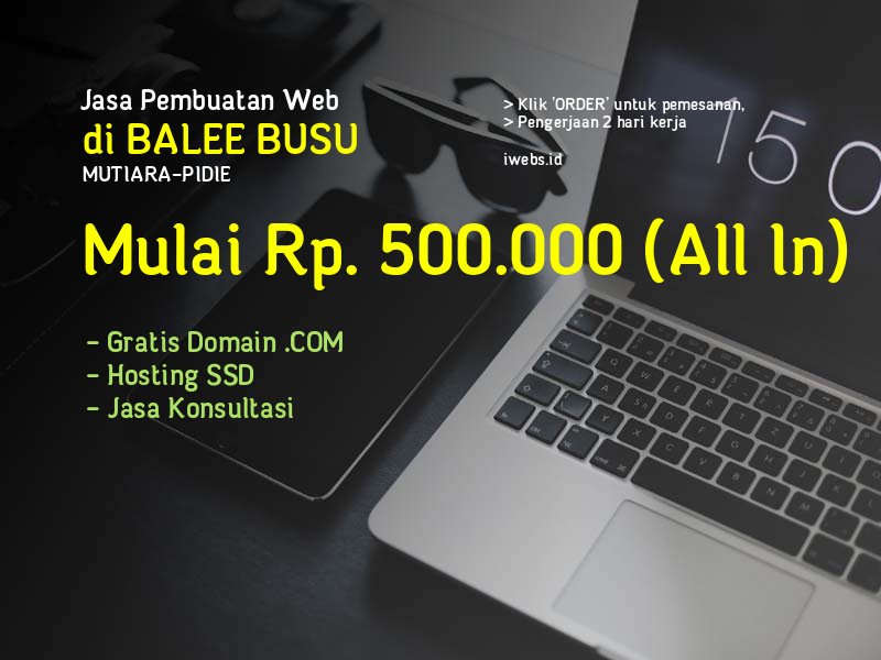 Jasa Pembuatan Web Di Balee Busu Kec Mutiara Kab Pidie - Aceh