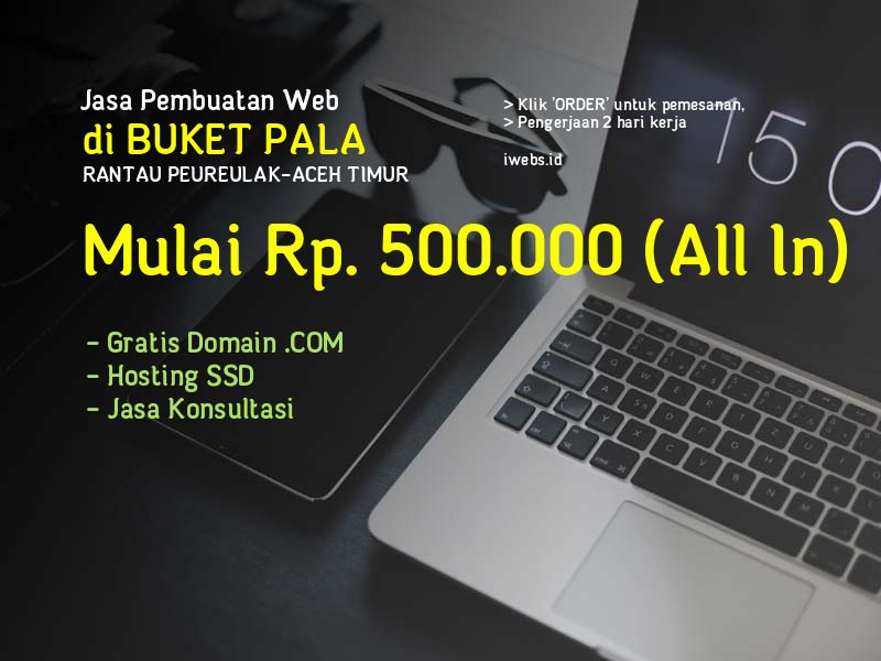 Jasa Pembuatan Web Di Buket Pala Kec Rantau Peureulak Kab Aceh Timur - Aceh