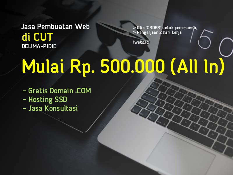 Jasa Pembuatan Web Di Cut Kec Delima Kab Pidie - Aceh