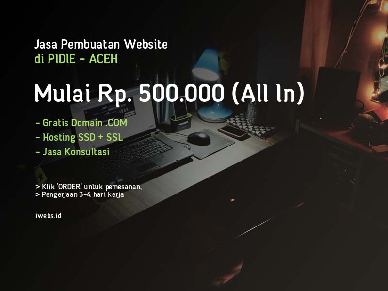 Jasa Pembuatan Website Pidie - Mulai Rp. 500.000